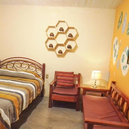 Los Nardos Hostel -Pet Friendly- 오아하카주 외부 사진