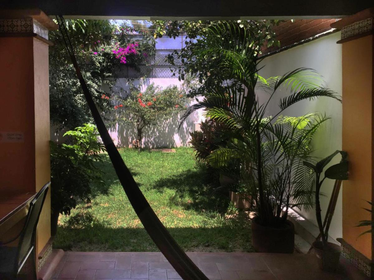 Los Nardos Hostel -Pet Friendly- 오아하카주 외부 사진