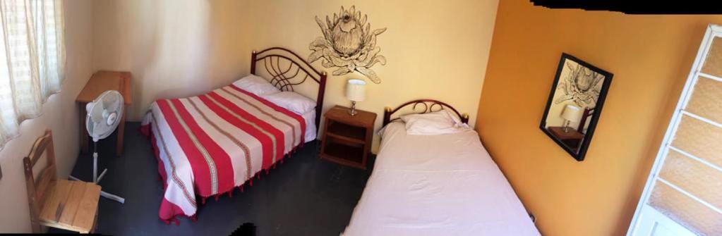 Los Nardos Hostel -Pet Friendly- 오아하카주 외부 사진