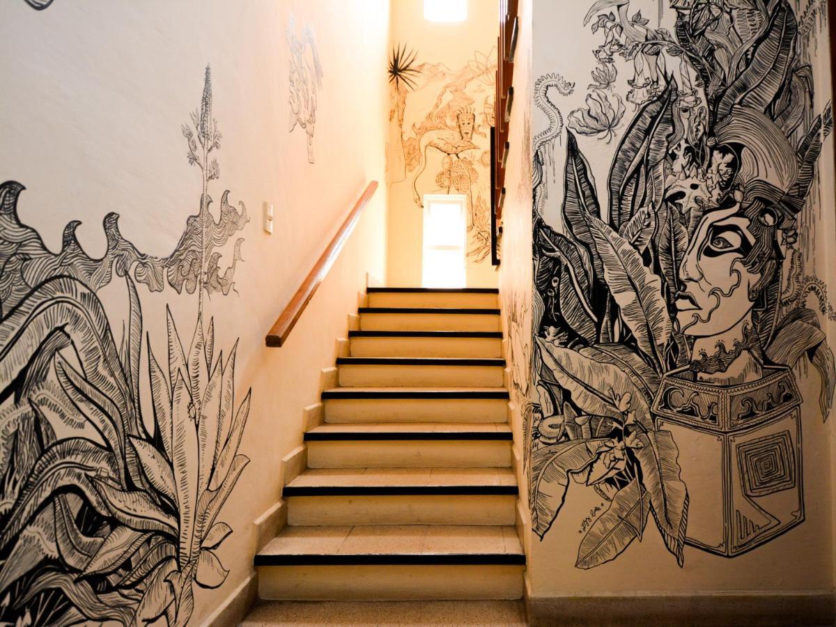 Los Nardos Hostel -Pet Friendly- 오아하카주 외부 사진