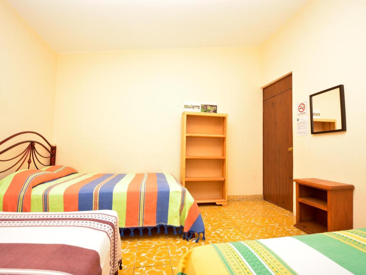 Los Nardos Hostel -Pet Friendly- 오아하카주 외부 사진