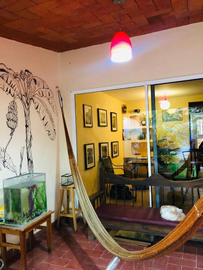 Los Nardos Hostel -Pet Friendly- 오아하카주 외부 사진