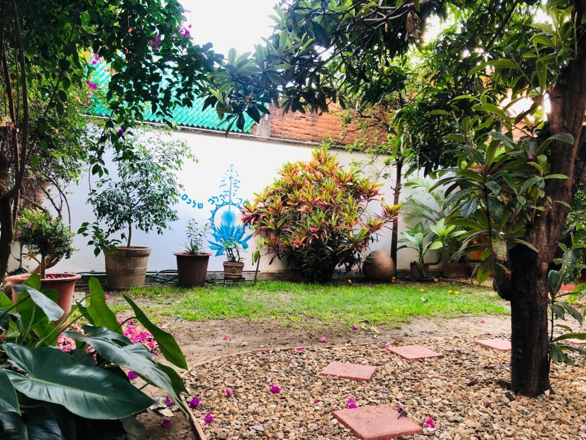 Los Nardos Hostel -Pet Friendly- 오아하카주 외부 사진