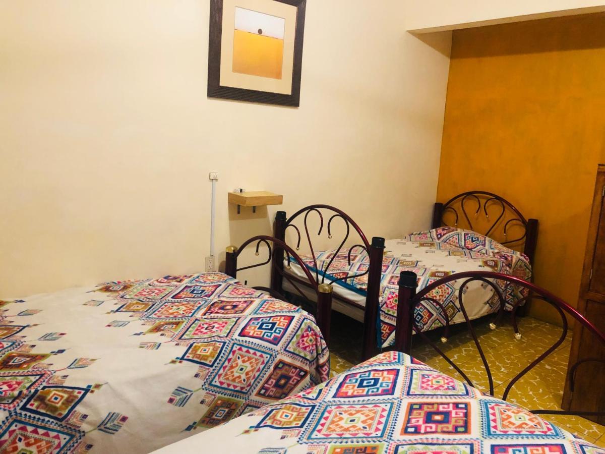 Los Nardos Hostel -Pet Friendly- 오아하카주 외부 사진