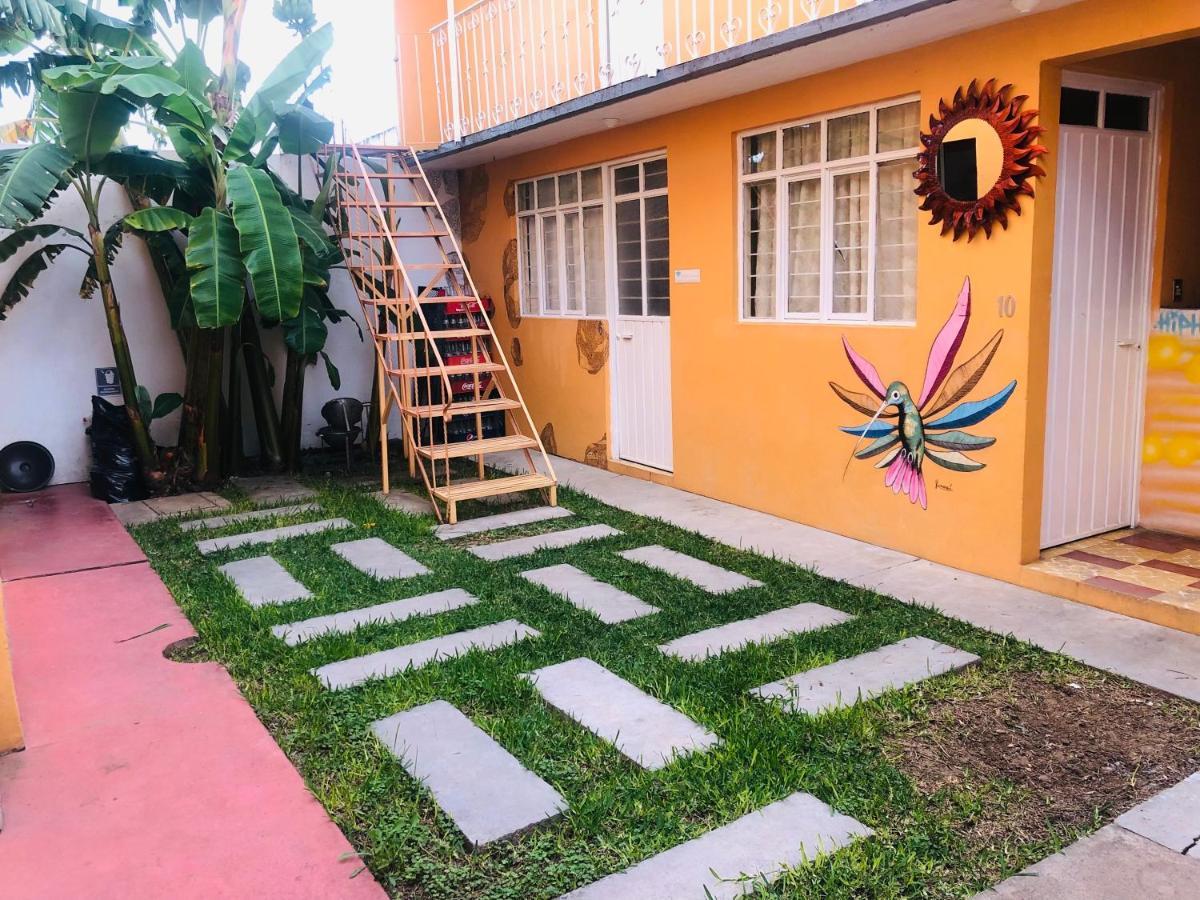 Los Nardos Hostel -Pet Friendly- 오아하카주 외부 사진