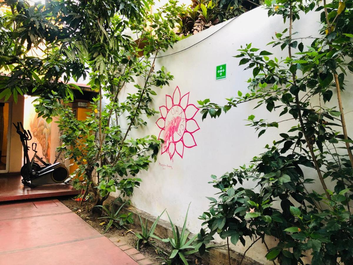 Los Nardos Hostel -Pet Friendly- 오아하카주 외부 사진