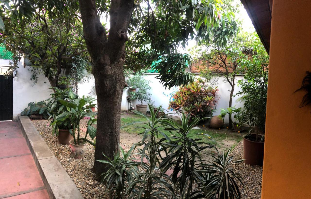 Los Nardos Hostel -Pet Friendly- 오아하카주 외부 사진