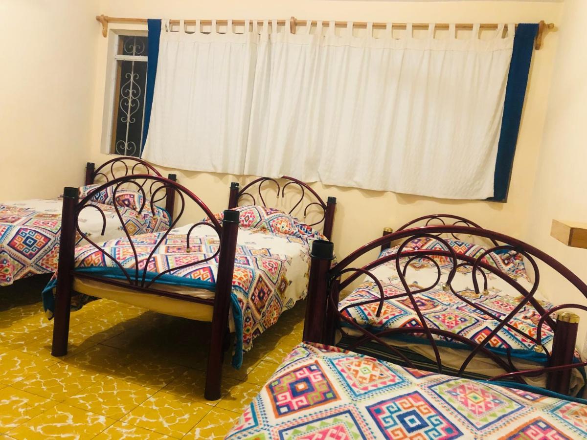 Los Nardos Hostel -Pet Friendly- 오아하카주 외부 사진