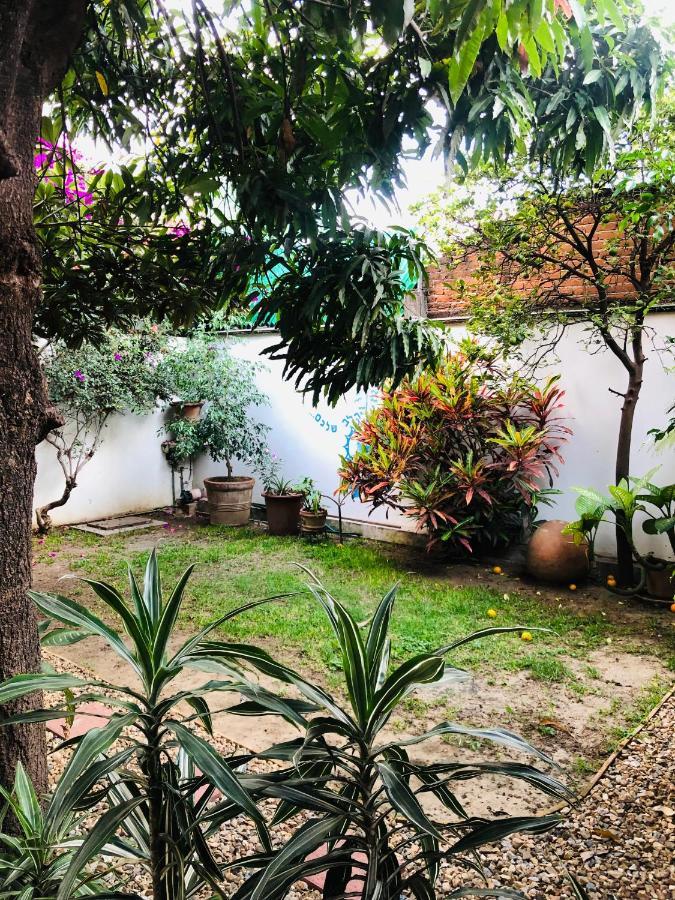 Los Nardos Hostel -Pet Friendly- 오아하카주 외부 사진