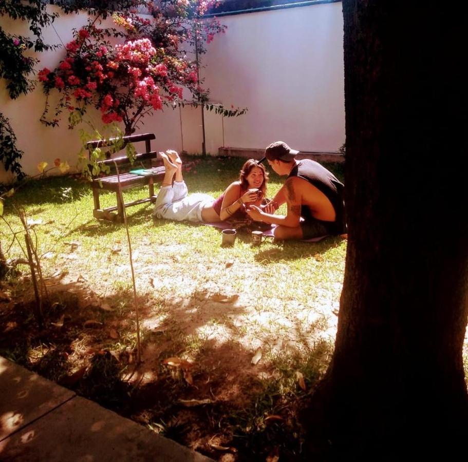 Los Nardos Hostel -Pet Friendly- 오아하카주 외부 사진