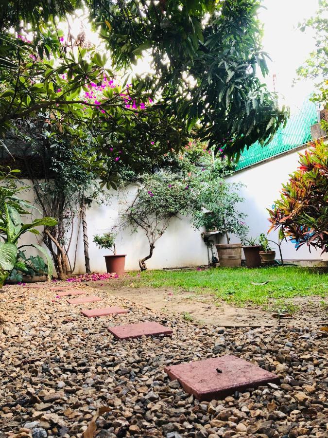 Los Nardos Hostel -Pet Friendly- 오아하카주 외부 사진