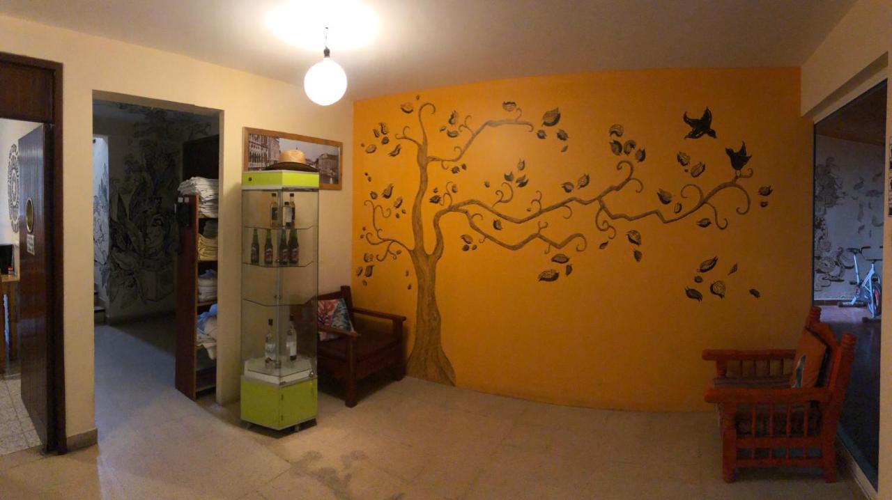 Los Nardos Hostel -Pet Friendly- 오아하카주 외부 사진