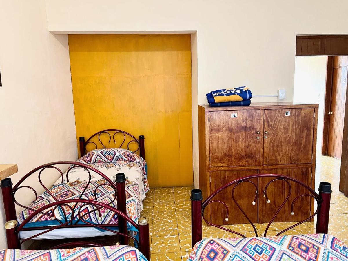 Los Nardos Hostel -Pet Friendly- 오아하카주 외부 사진