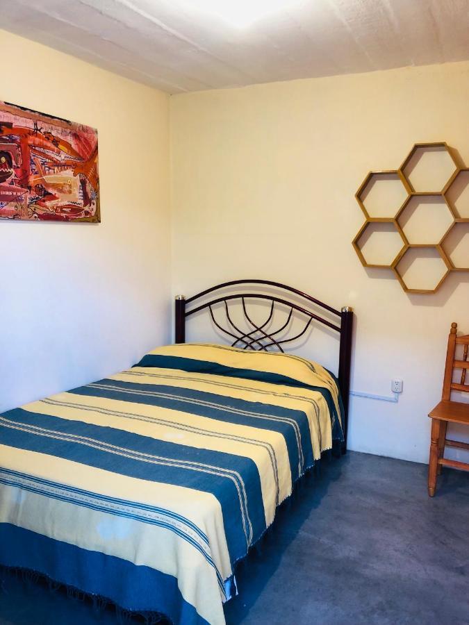 Los Nardos Hostel -Pet Friendly- 오아하카주 외부 사진