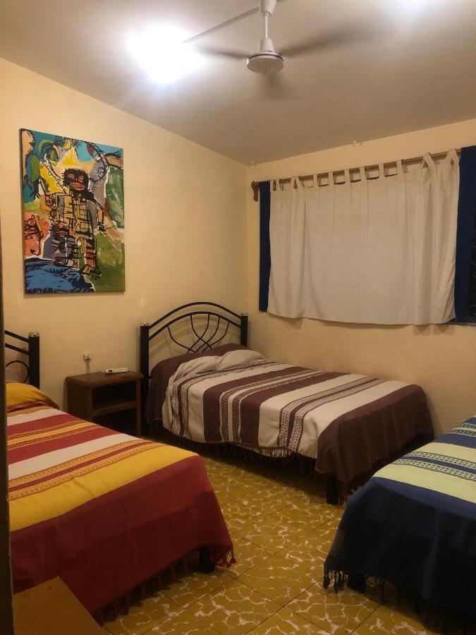 Los Nardos Hostel -Pet Friendly- 오아하카주 외부 사진