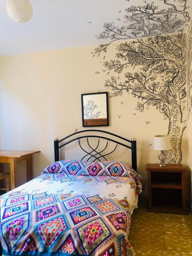 Los Nardos Hostel -Pet Friendly- 오아하카주 외부 사진