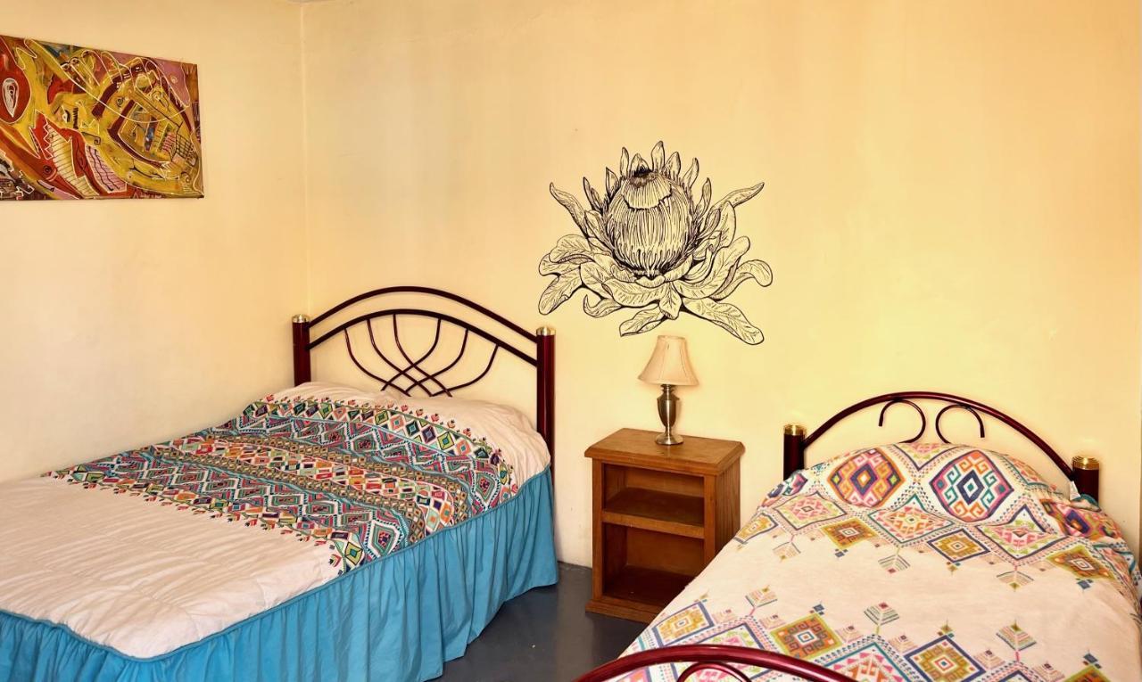 Los Nardos Hostel -Pet Friendly- 오아하카주 외부 사진
