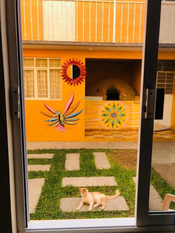 Los Nardos Hostel -Pet Friendly- 오아하카주 외부 사진