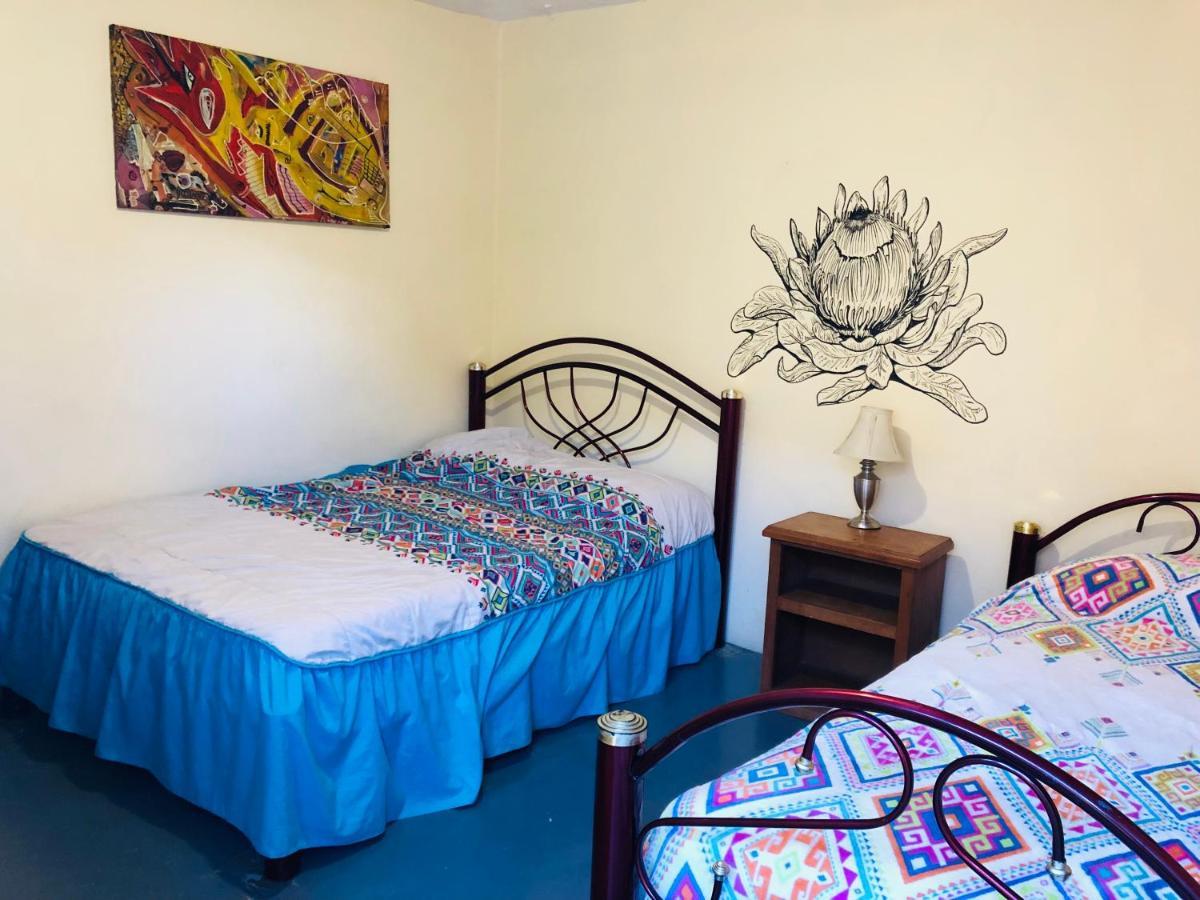 Los Nardos Hostel -Pet Friendly- 오아하카주 외부 사진