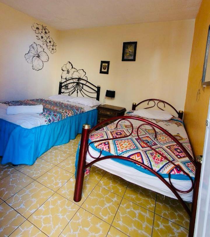 Los Nardos Hostel -Pet Friendly- 오아하카주 외부 사진
