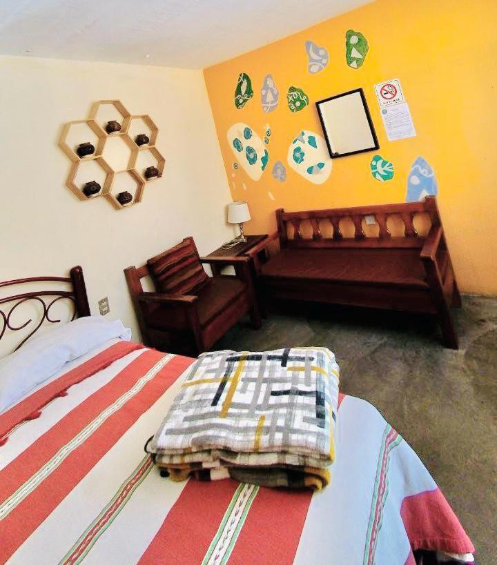 Los Nardos Hostel -Pet Friendly- 오아하카주 외부 사진