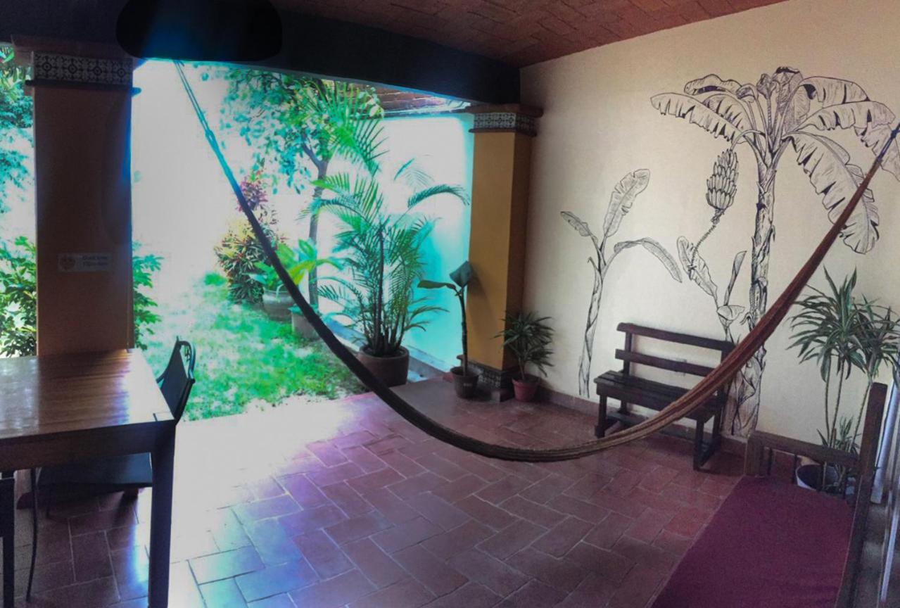 Los Nardos Hostel -Pet Friendly- 오아하카주 외부 사진